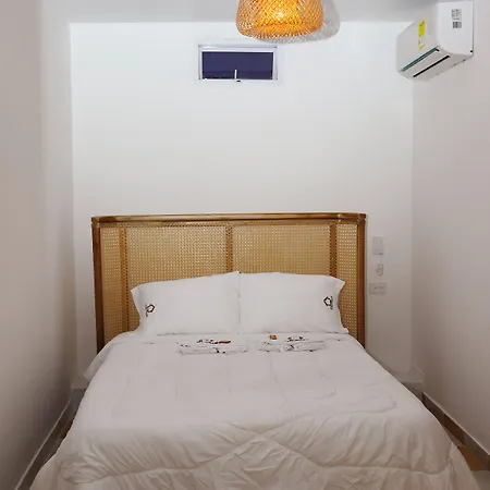Casa Torres Centro Historico - Adults Only Hostal *